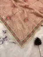 Burnt peach saree with cross stitch borders - Image 4