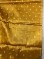 Svarna (Tissue Kancheevaram silk) - Honey - Image 3