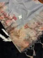 Neyssa (Kota silk) - Dreamy grey - Image 2