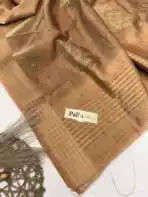 Kushi (Banarasi tissue silk) - Cantaloupe - Image 4
