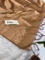 Srishti (Raw silk) - Tan - Image 3
