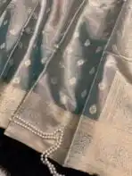 Varnam (Tissue Kancheevaram silk) - Ice blue