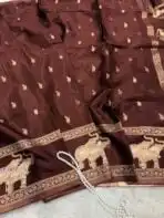 Shivanya (Mushru Kattan silk) - Kaapi - Image 2