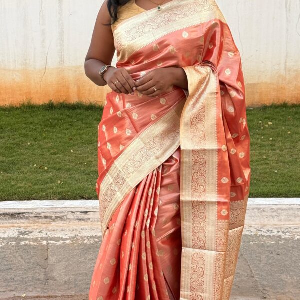 Varnam (Tissue Kancheevaram silk ) - Bright Salmon