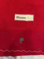Chidiyan (Hand-embroidered Raw silk) - Crimson - Image 5
