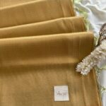Devi (Banarasi soft silk) - Pista green