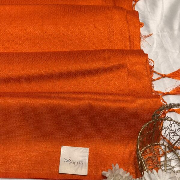 Devi (Banarasi soft silk) - Orange