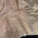 Haritha (Banaras Soft silk) - Champagne blush