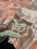 The Paisleys (Banarasi silk) - Tangerine - Image 4
