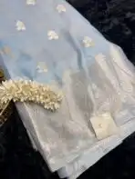 The Paisleys (Banarasi silk) - Powder blue - Image 2