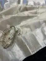 The Paisleys (Banarasi silk) - Ivory - Image 4