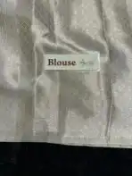 The Paisleys (Banarasi silk) - Ivory - Image 6