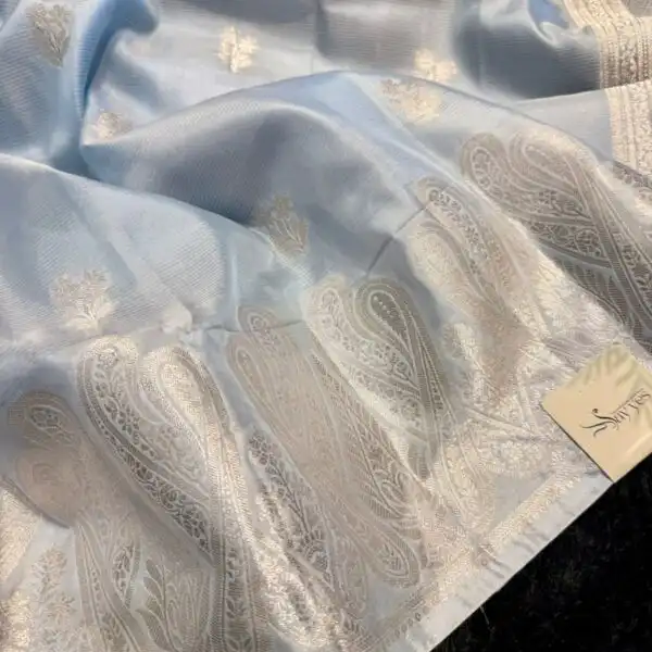 The Paisleys (Banarasi silk) - Powder blue