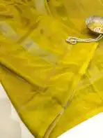 Shivanya (Mushru Kattan silk) - Lime yellow - Image 4