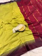 Maheshwari (Silk cotton) - Leaf green & Maroon - Image 4