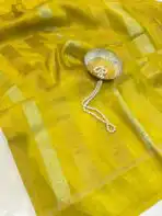 Shivanya (Mushru Kattan silk) - Lime yellow - Image 2