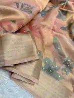 Kushi (Banarasi tissue silk) - Soft peach (Copy) - Image 2