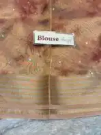 Kushi (Banarasi tissue silk) - Soft peach (Copy) - Image 5