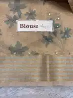 Kushi (Banarasi tissue silk) - Soft gold - Image 5