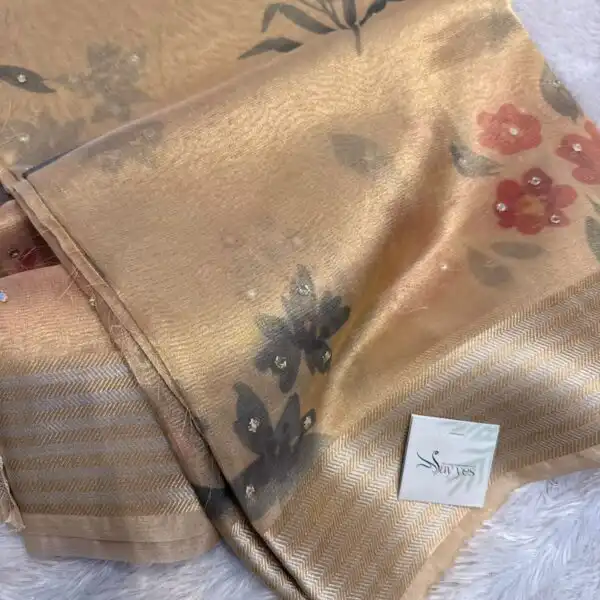 Kushi (Banarasi tissue silk) - Soft gold