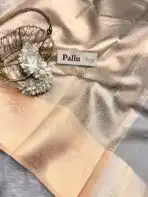 Kanmani (Semi Kanchi silk) - Kaapi brown - Image 5